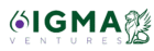 6igma logo lion