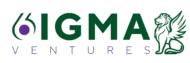 6igma logo lion
